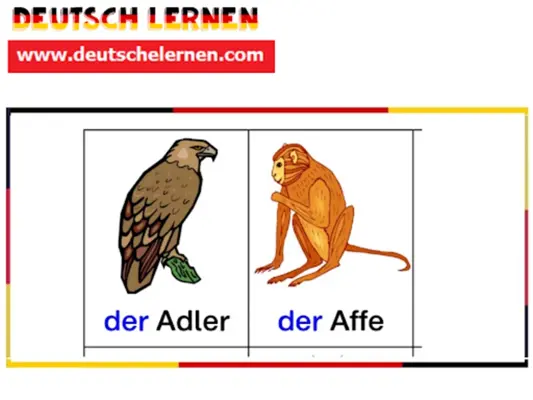 تعلم اللغة الألمانية Deutsch Lernen android App screenshot 7